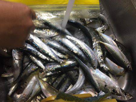 デカサバゲット！