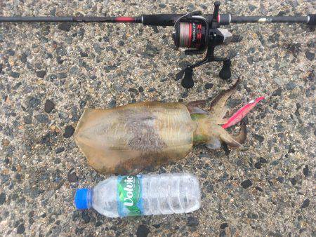 デイエギング最高❗️