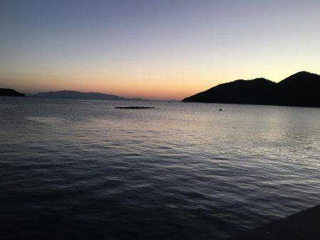 サヨリが入れ食い