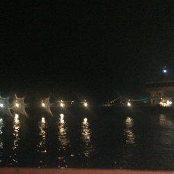 タチウオでボウズのがれ