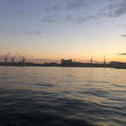 基本に帰ってシンプルなサビキ