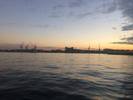 基本に帰ってシンプルなサビキ