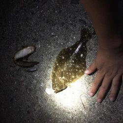 上天草での投げ釣りの釣果