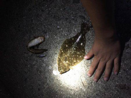 上天草での投げ釣りの釣果