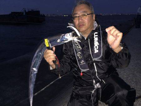 太くて短かい（笑）