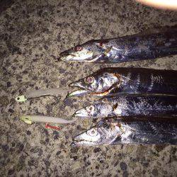 活性が低いですね〜