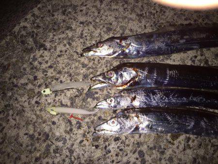 活性が低いですね〜