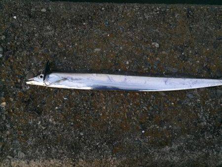 ランカー捕獲！