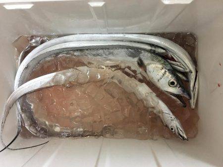 夕まづめショアジギング