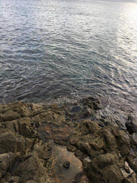 丹後半島夕マズメ釣行