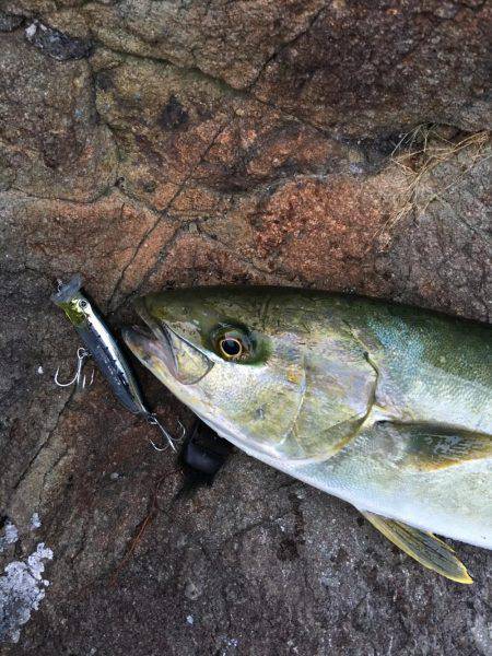 磯トップゲーム