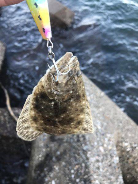 ショアジギング