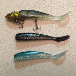 タチウオ 堺周辺