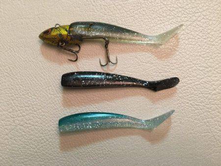 タチウオ 堺周辺