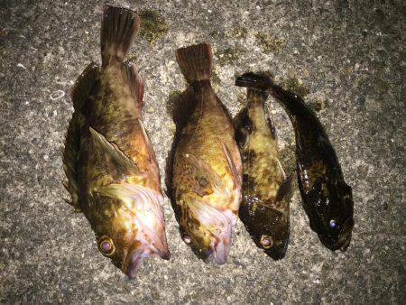 大潮？潮が動かない？