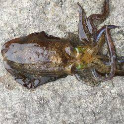 型が大きくなってきました