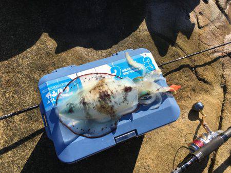 アベレージが良い