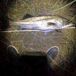 ランカーは遠い…