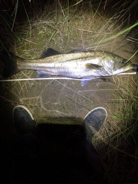 ランカーは遠い…