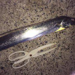 ライトライトライト