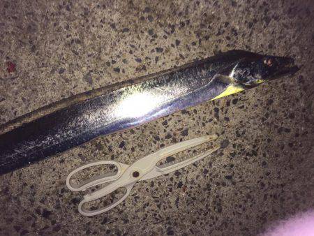 ライトライトライト