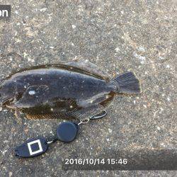 まさかのひらめ