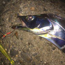 アタリっぱなし！