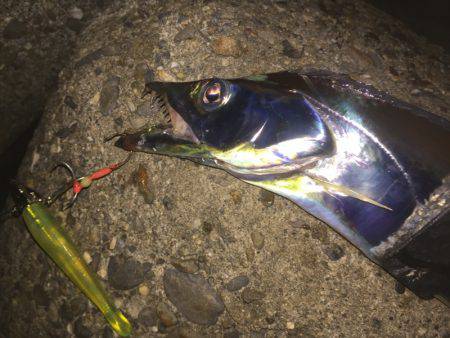 アタリっぱなし！