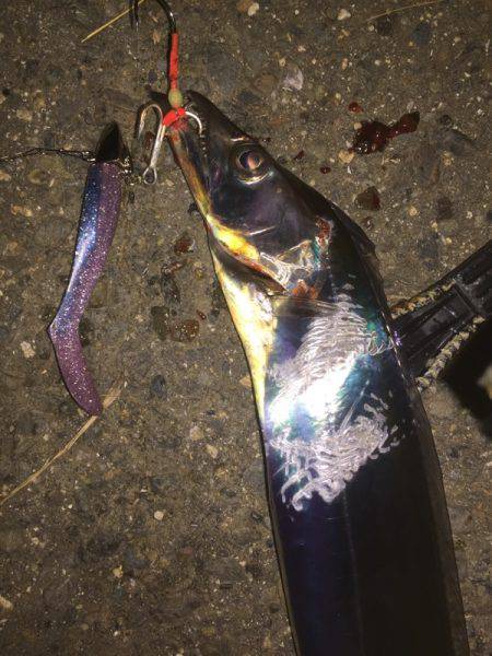 今季初のポイントに