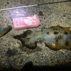 今シーズン初ヤエン