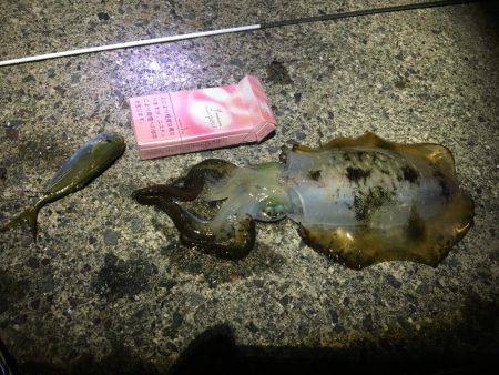 今シーズン初ヤエン