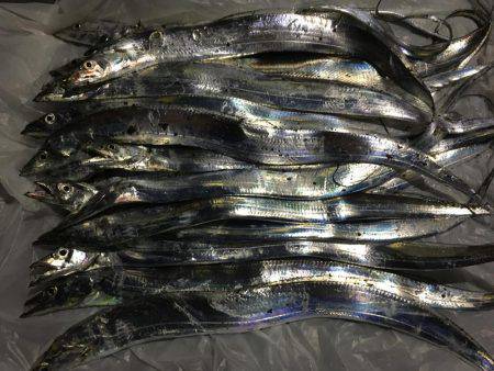 楽しめました(^^)