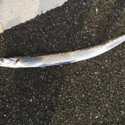 朝にちょっとだけ！