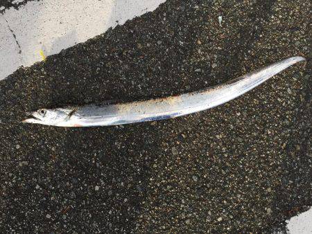 朝にちょっとだけ！