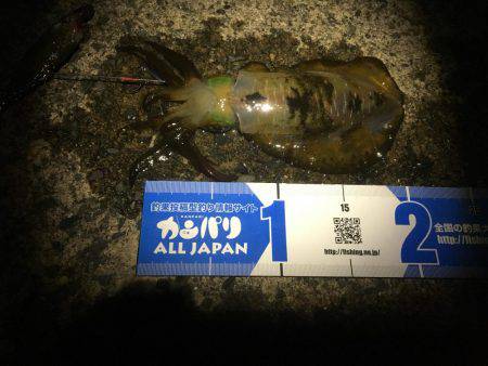 良い感じの月明かり