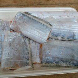 サビキでサバ、からの太刀魚