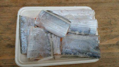 サビキでサバ、からの太刀魚