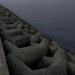 太刀魚不発もサゴシ捕獲