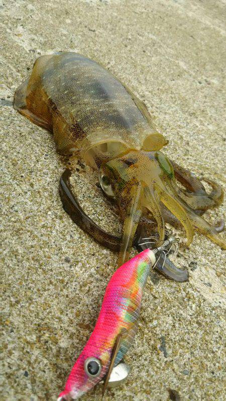 風強かったけど