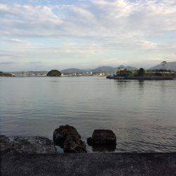 投げつりでﾁｬﾘｺ