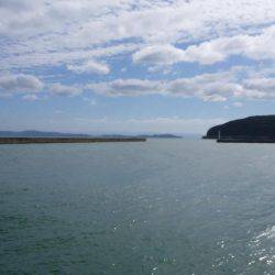 強風の中でサビキ