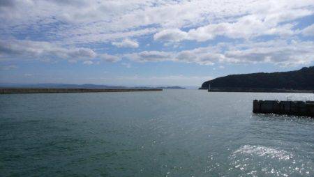 強風の中でサビキ