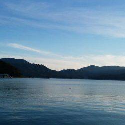 宮津サゴシ情報