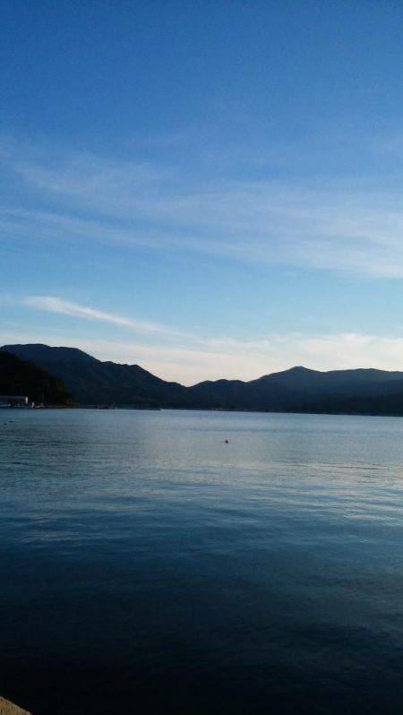 宮津サゴシ情報