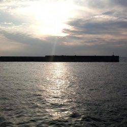 淡路島釣行苦戦しました。