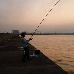 青岸ドラゴン届かず…