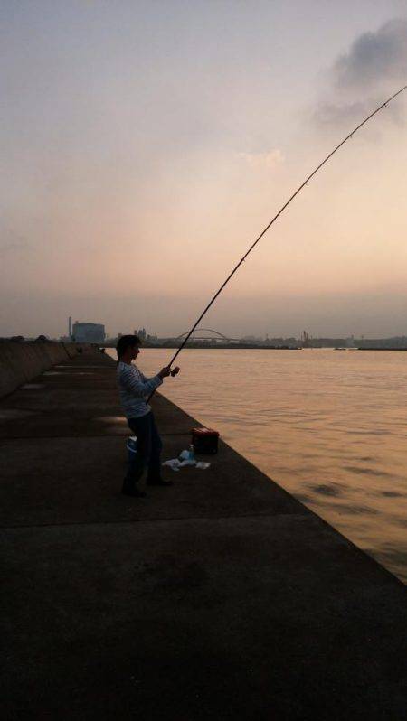 青岸ドラゴン届かず…