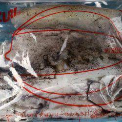 まだまだエギング!!