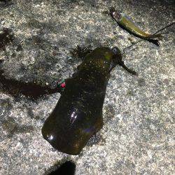 コロッケサイズ