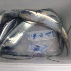 釣りバカばっか